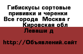 Гибискусы сортовые, прививки и черенки - Все города, Москва г.  »    . Кировская обл.,Леваши д.